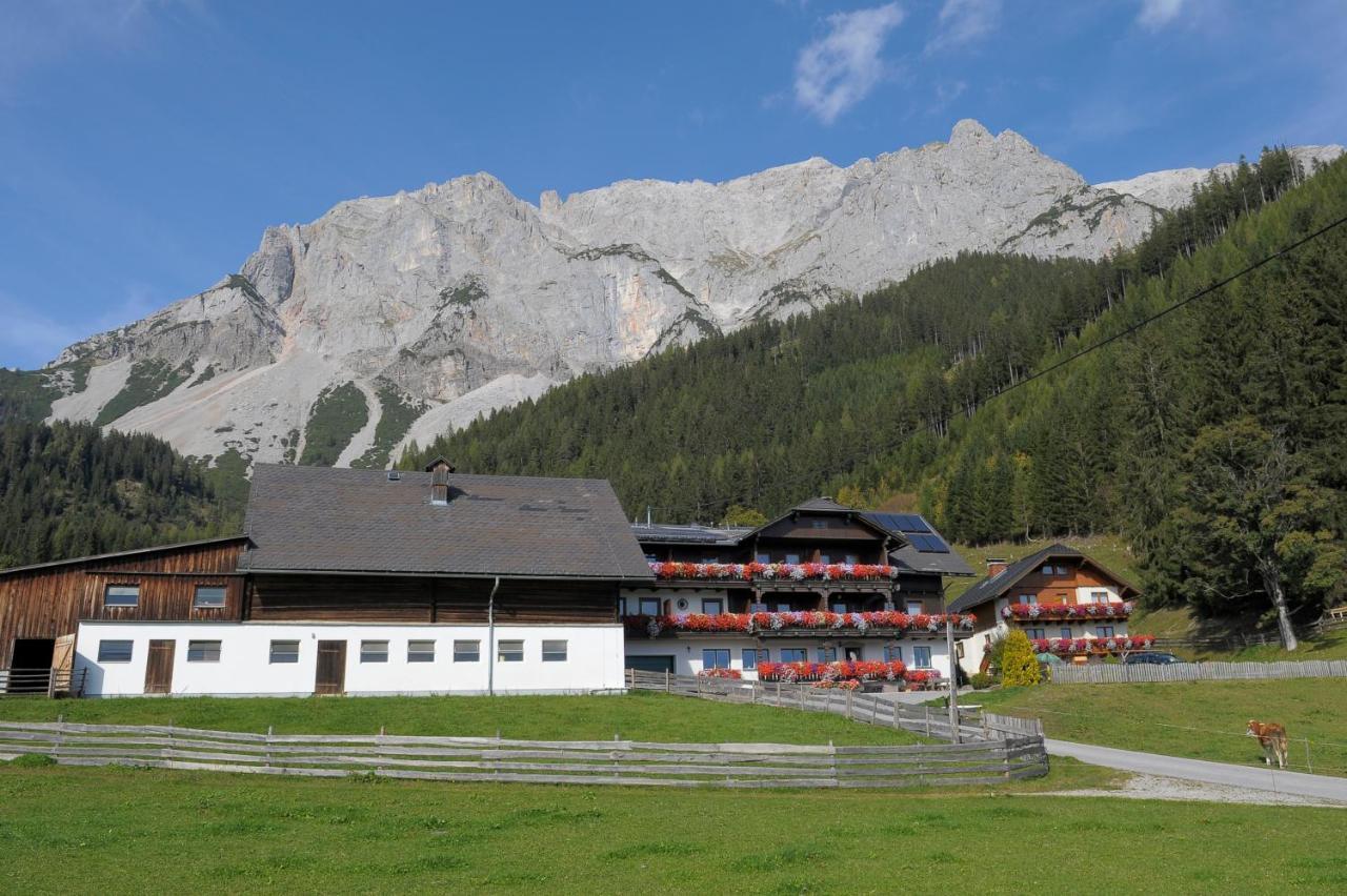 Feichtlehnerhof Bed and Breakfast Ramsau am Dachstein Exteriör bild